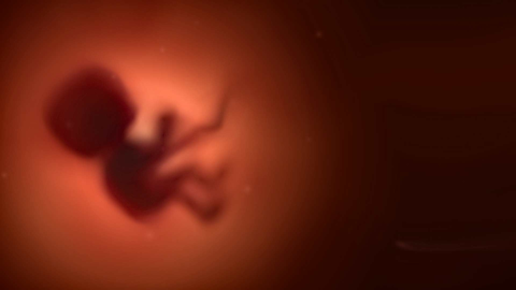 Abortion Cases in Alaska