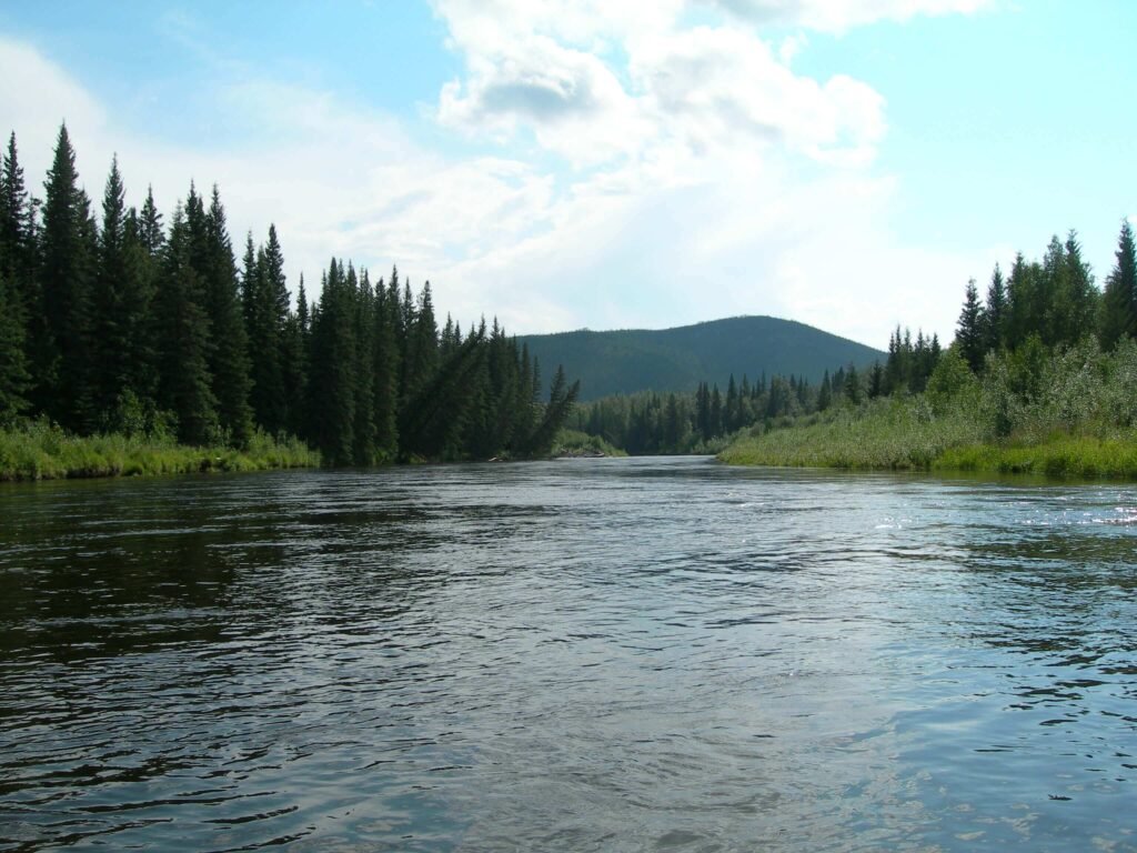 View of the Chena River on a sunny day, with clear blue water flowing by.