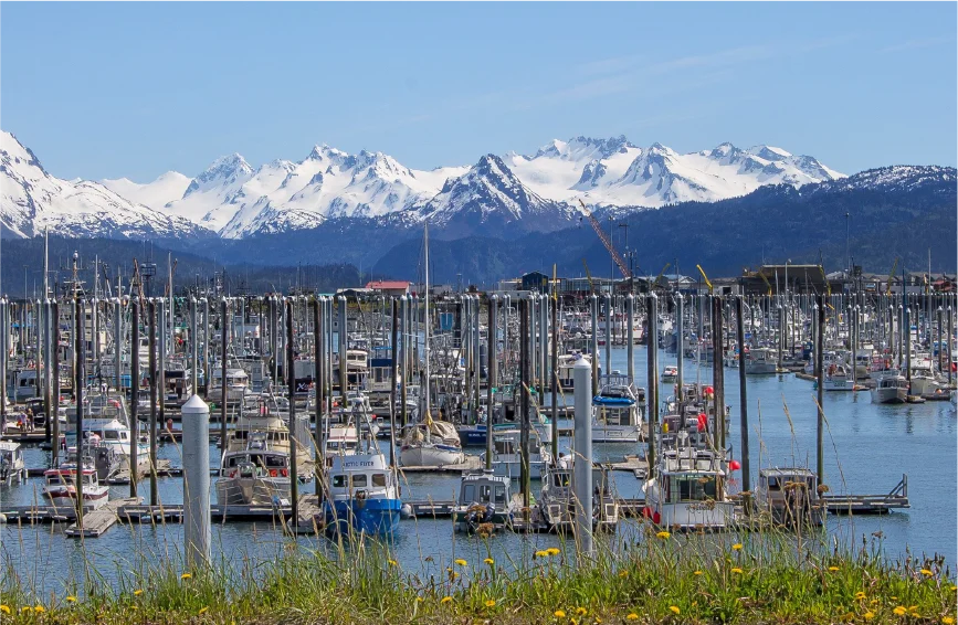 Homer city of Alaska