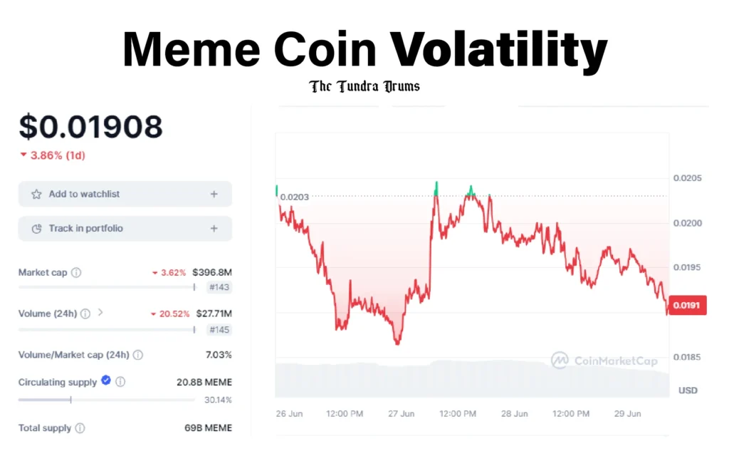 Meme Coin Volatility Risk