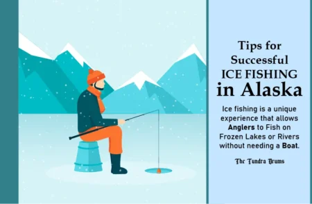 Pro Tips for Successful Ice Fishing in Alaska