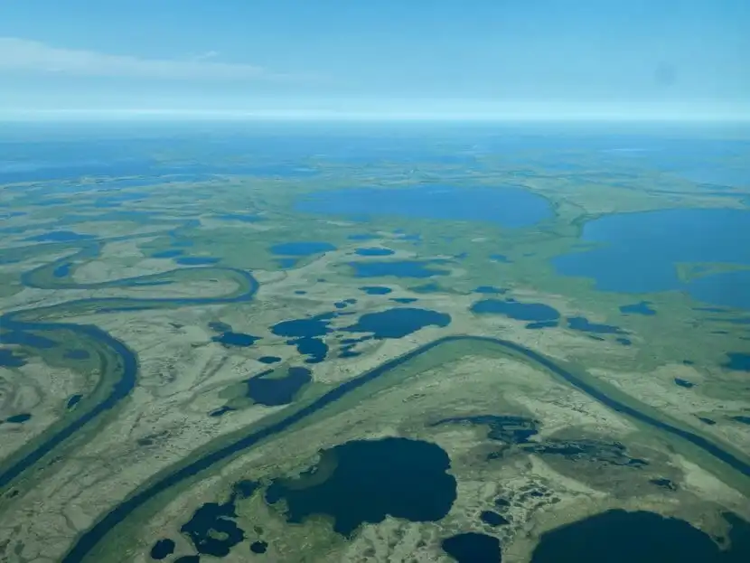 Sloughs and Wetlands