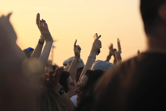 people enjoying in music concert