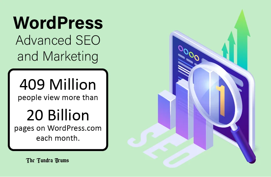 WordPress Advanced SEO and Marketing