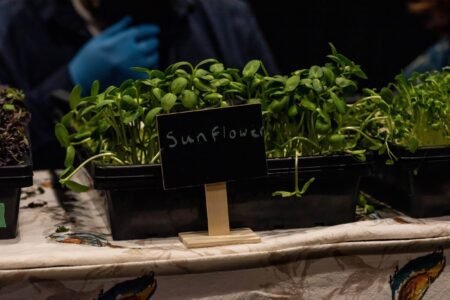 Anchorage VegFest Celebrates 4 Years of Plant-Based Passion Anchorage VegFest celebrates plant-based living options