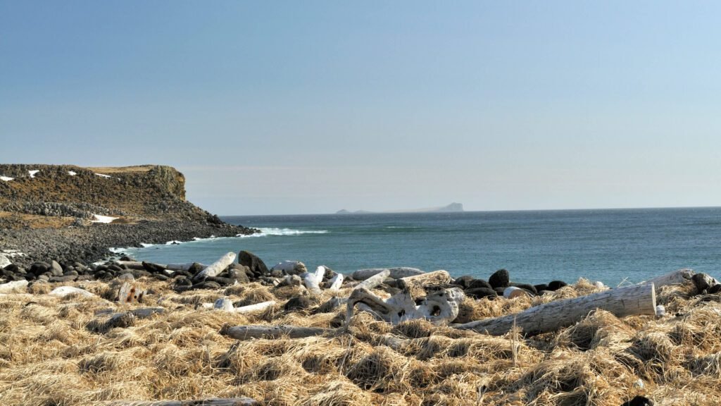 Rodent-Free St. Paul Island's Battle-Tested Rat Defense