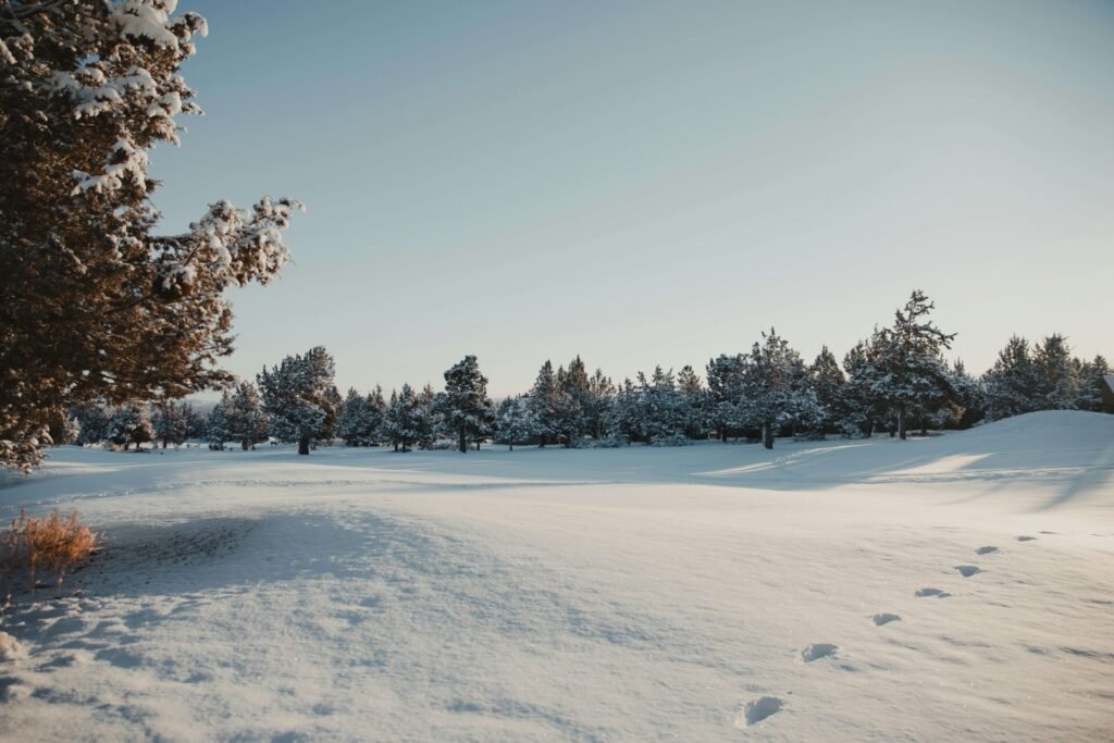 A Snowy Land