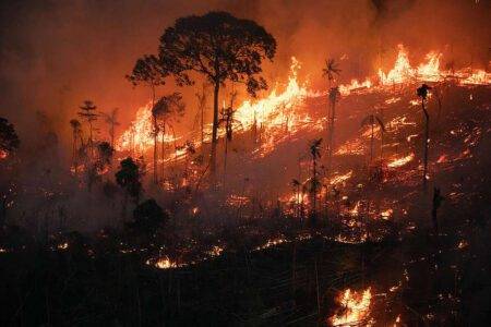 Amazon Rainforest Fires Emit Massive Carbon Levels