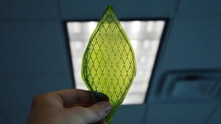 Artificial Oxygen Leaf Brings Fresh Air to Space