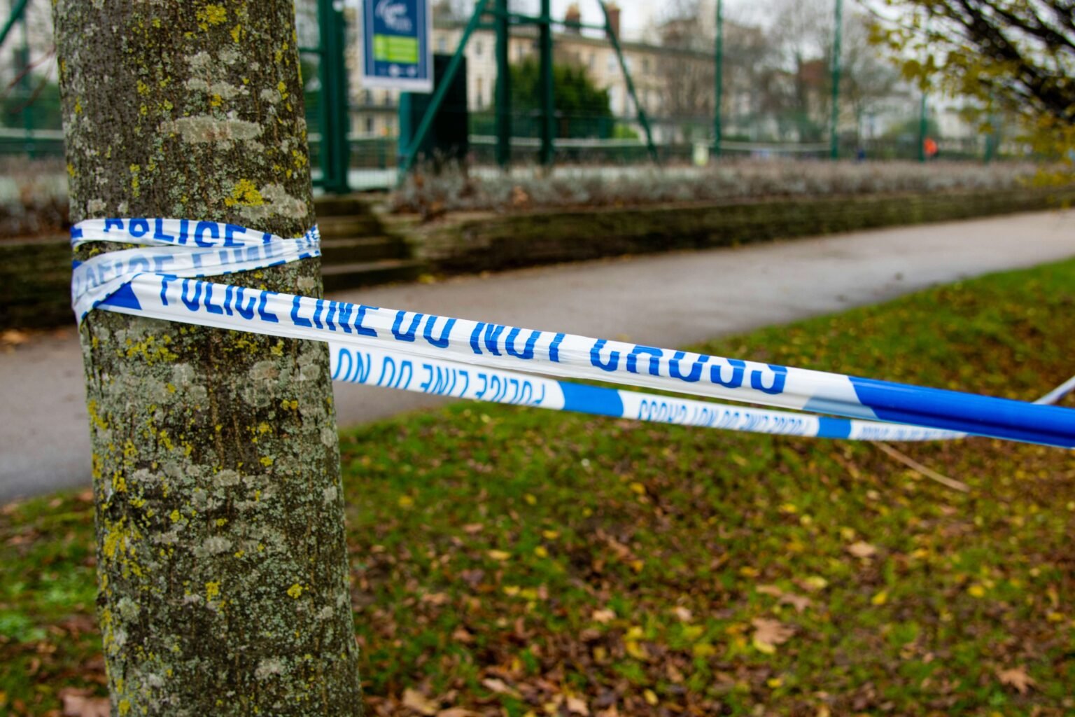 Police Tape attached to a tree