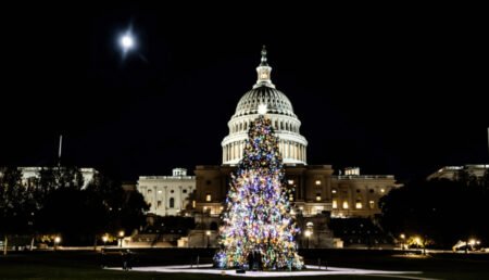 Alaska’s Capitol Christmas Tree Brings Holiday Cheer Nationwide.