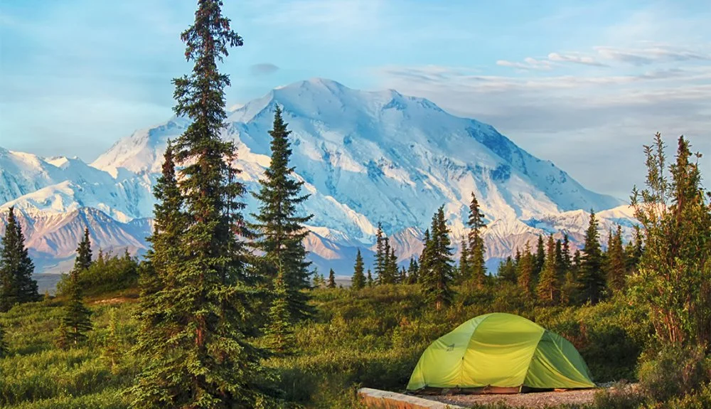 Denali camping 