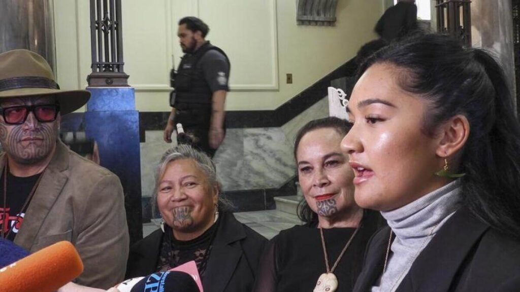 Te Pati Maori MPs stood and began a haka.