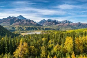 The Ultimate Guide to Alaska National Parks: Everything You Need to Know Wrangell-St.-Elias-National-Park-300x200