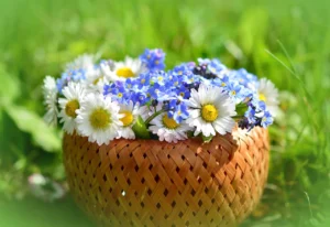 Forget-Me-Not in Art and Craft in Alaska forget-me-not-and-daisy