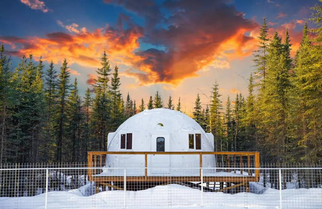 Pleasant-Acres-Reindeer-Ranch