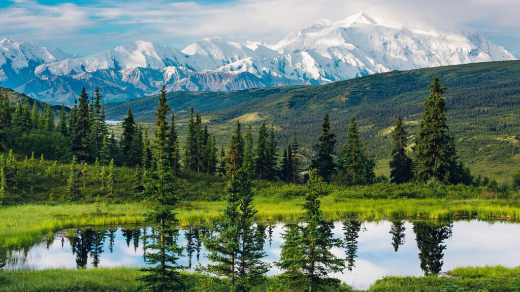 Moving to Alaska Made Simple with Local Insights and Practical Tips view of mountains and forest