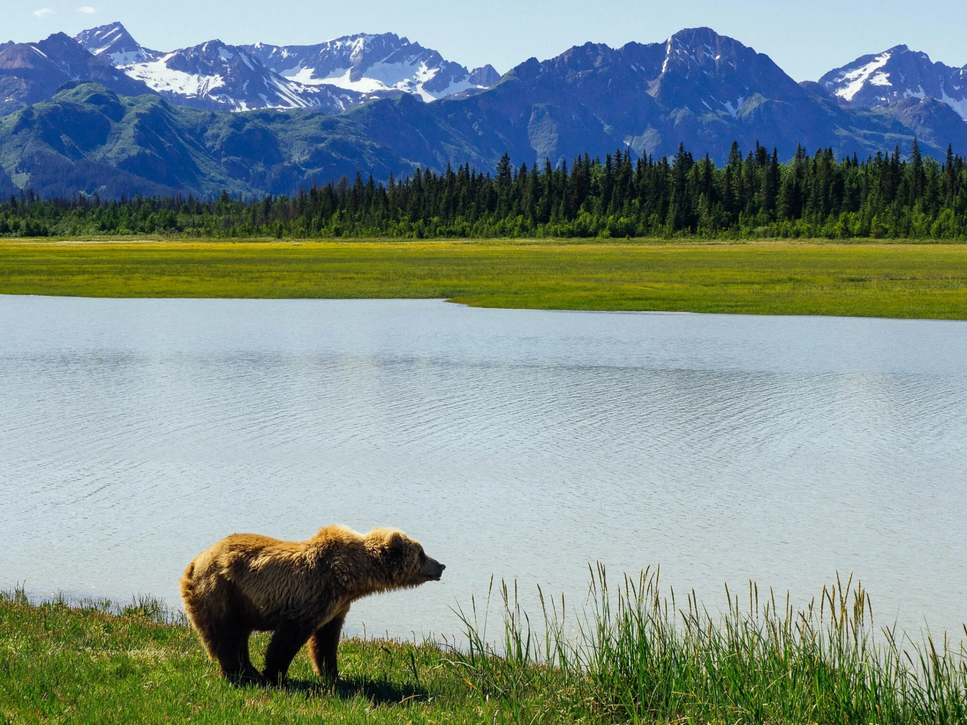 alaska natural beauty