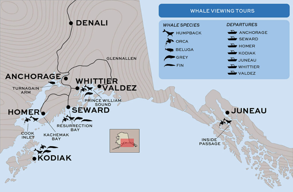 What is the Best Time to See Whales in Alaska? map