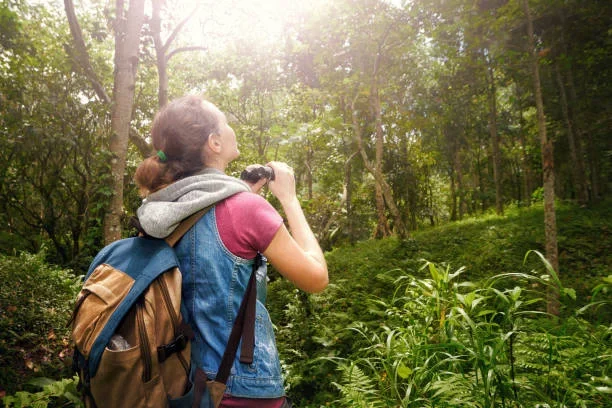 5 Best National Parks to Visit in Alaska? wildlife-viewing-