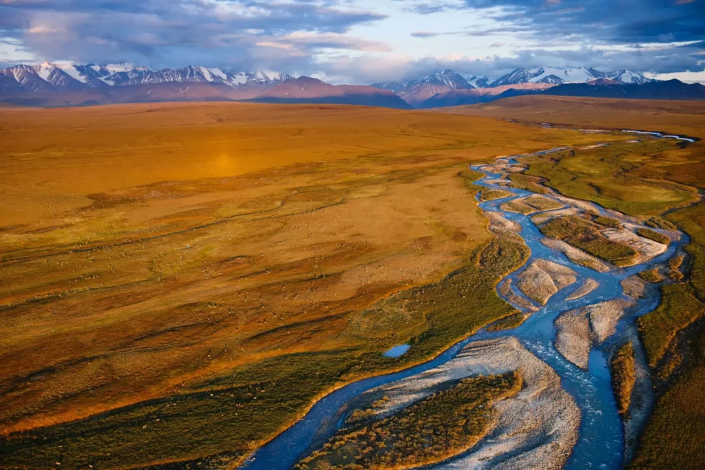 The coastal plain of Alaska's Arctic National Wildlife Refuge.