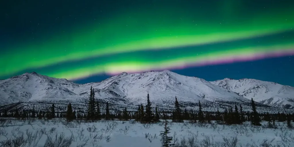 Northern lights in Denali, Alaska.