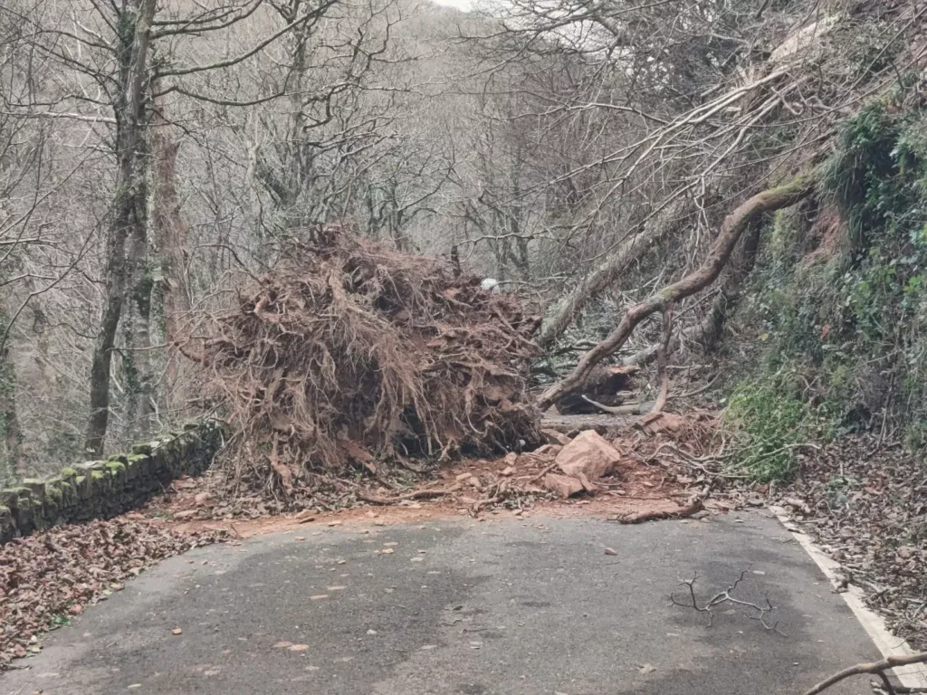 Exmoor storm damage clears 300 fallen trees.