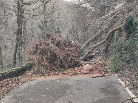 Exmoor storm damage clears 300 fallen trees.