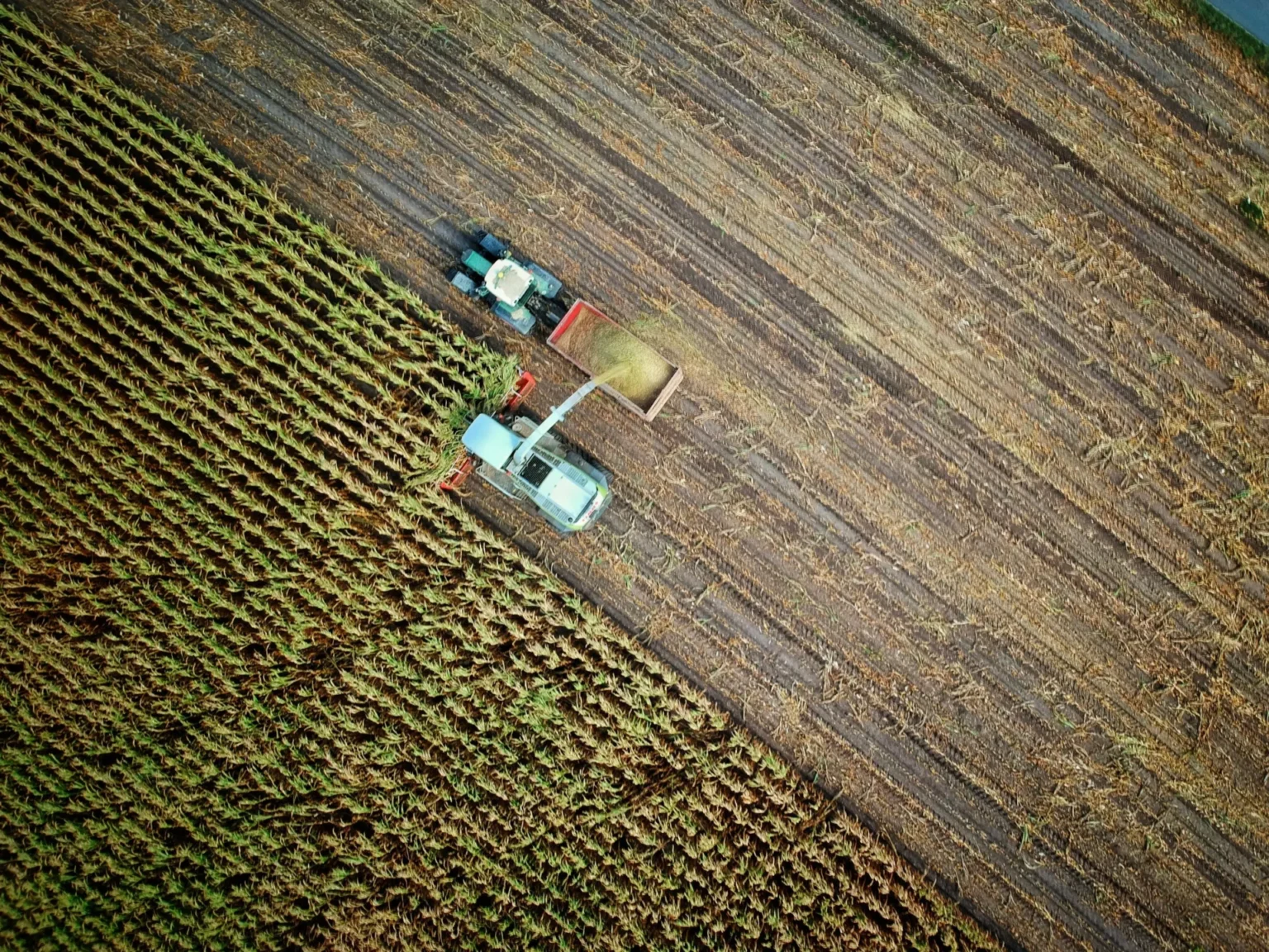 Two tractors on a field.