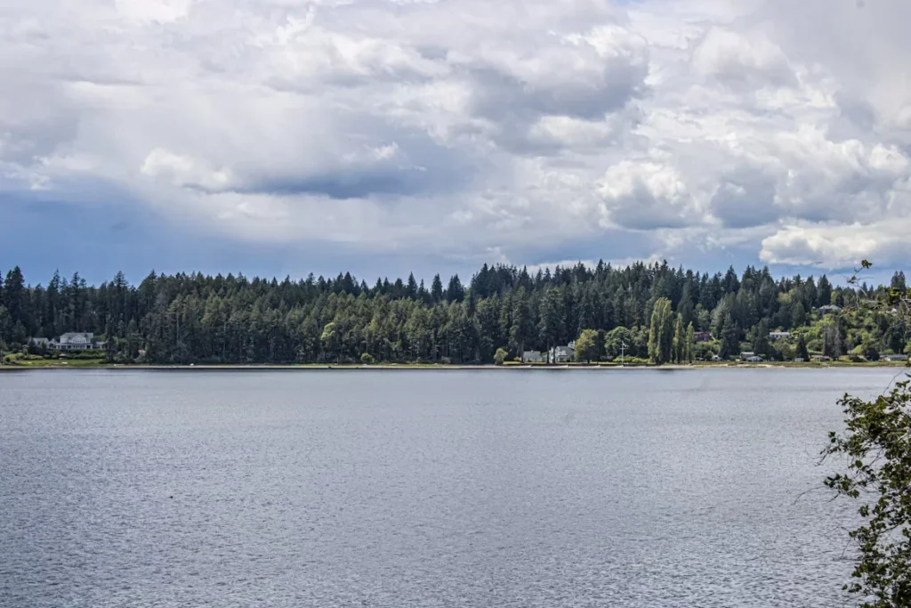 a large body of water surrounded by trees.