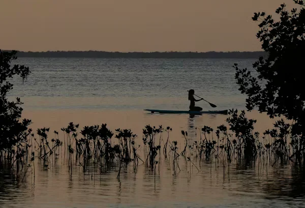 a person paddling in a large body of water