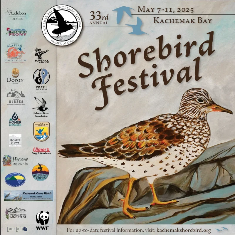 A Guide to Kachemak Bay Shorebird Festival 2025 2025 event