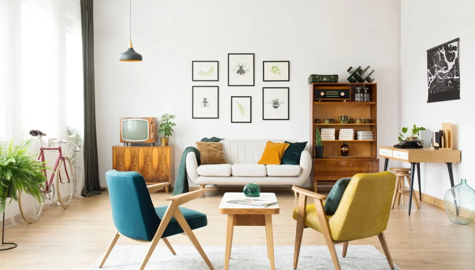 a well organized living room