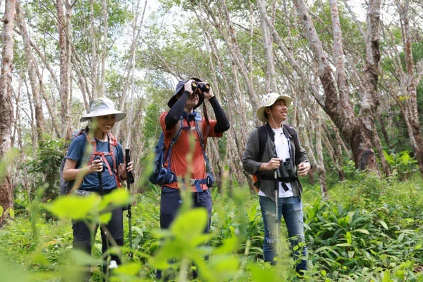 A Guide to Kachemak Bay Shorebird Festival 2025 birder
