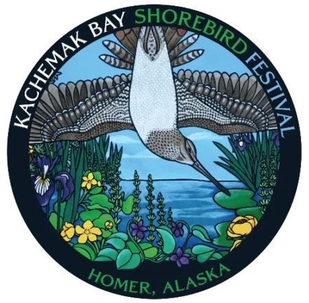 kachemak-bay-shorebird-festival