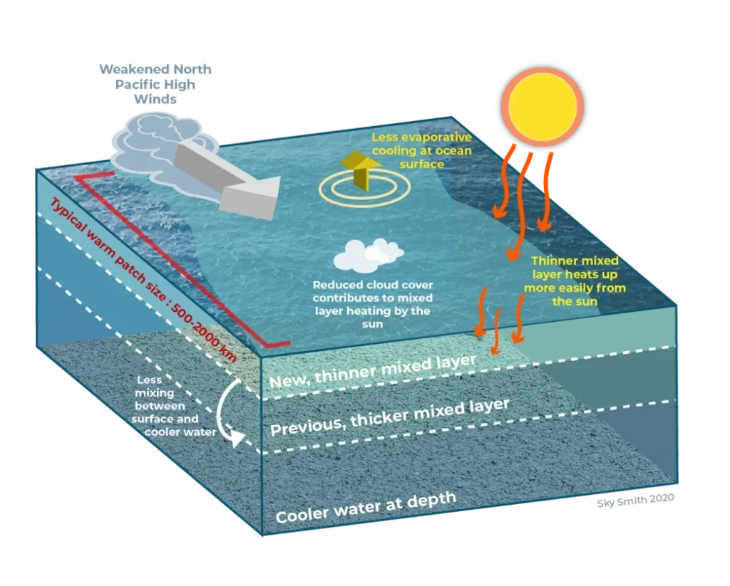 The Alaska Fishing & Seafood Industry | A Pillar Under Pressure marine heateaves