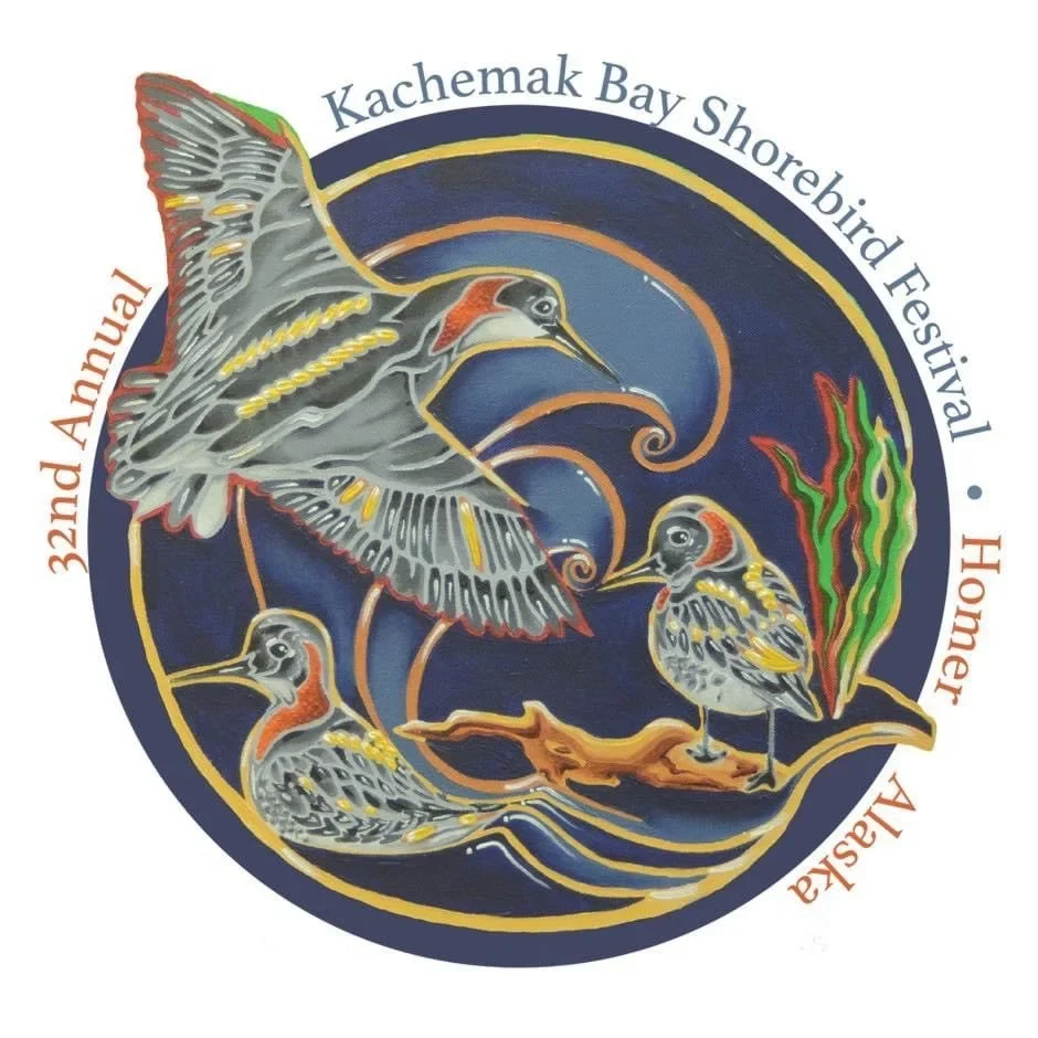 A Guide to Kachemak Bay Shorebird Festival 2025 kachemak Bay Shorebird Festival 2025