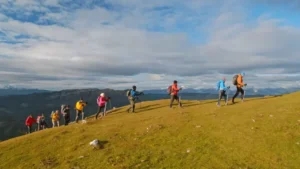trailblazing 1