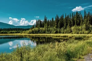 Alaska in May