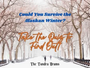 Could You Survive the Alaskan Winter
