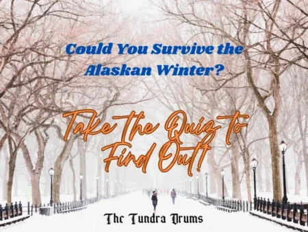 Could You Survive the Alaskan Winter