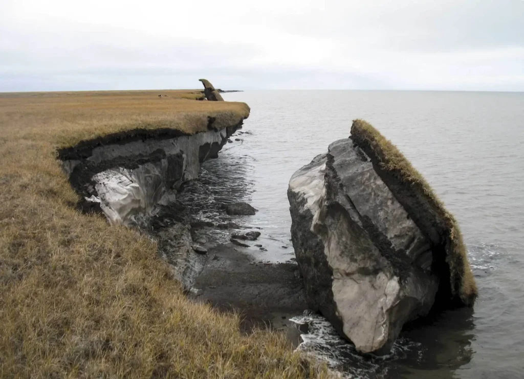 Into Environment Thawing permafrost can result in the loss of terrain, as seen in this image where part of the coastal bluff along Drew Point, Alaska, has collapsed into the ocean. Credit: Benjamin Jones, USGS Thawing permafrost can result in the loss of terrain.