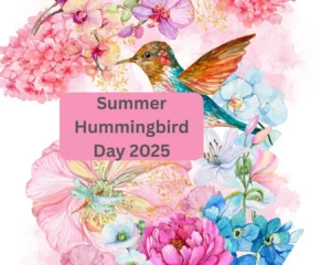 Summer Hummingbird day 2025