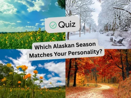 Which Alaskan Season Matches Your Personality