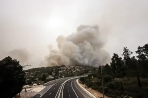 Wildfire in Israel