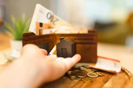 a person holding a small house