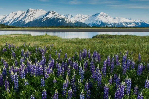 Planning a Trip to Alaska in May? Here’s What You Need to Know alaska 1