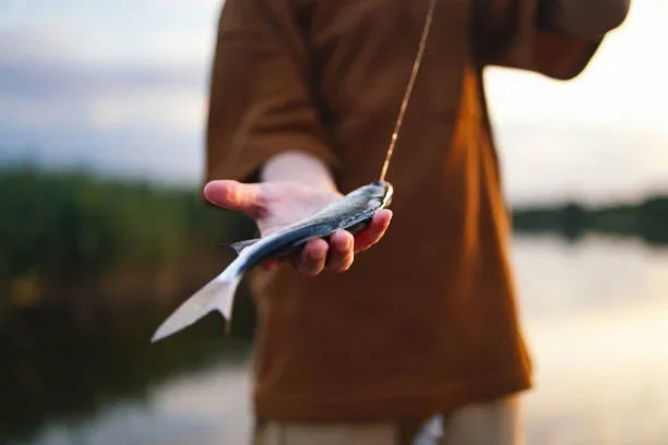 How to Get Started with Fly Fishing: A Beginner’s Toolkit basic fishing