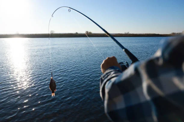 How to Get Started with Fly Fishing: A Beginner’s Toolkit casting technique
