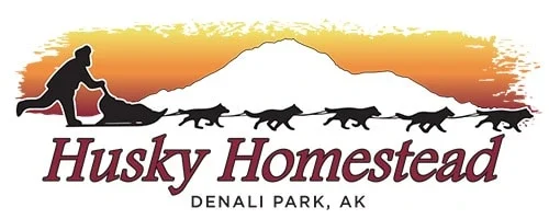 Ever Met a Real Sled Dog? Visit Husky Homestead 2025 husky homestead tours 2025
